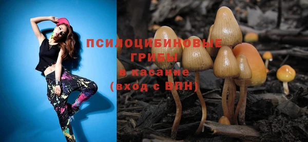 прущие крисы Воткинск