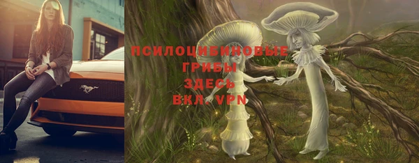 соль курить ск Грязовец